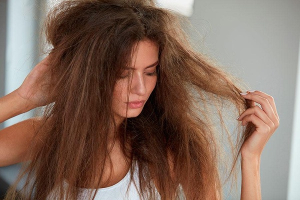 Dầu oliu giúp khắc phục tình trạng tóc khô xơ, chẻ ngọn hiệu quả