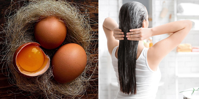 trứng gà bổ sung dinh dưỡng cho mái tóc