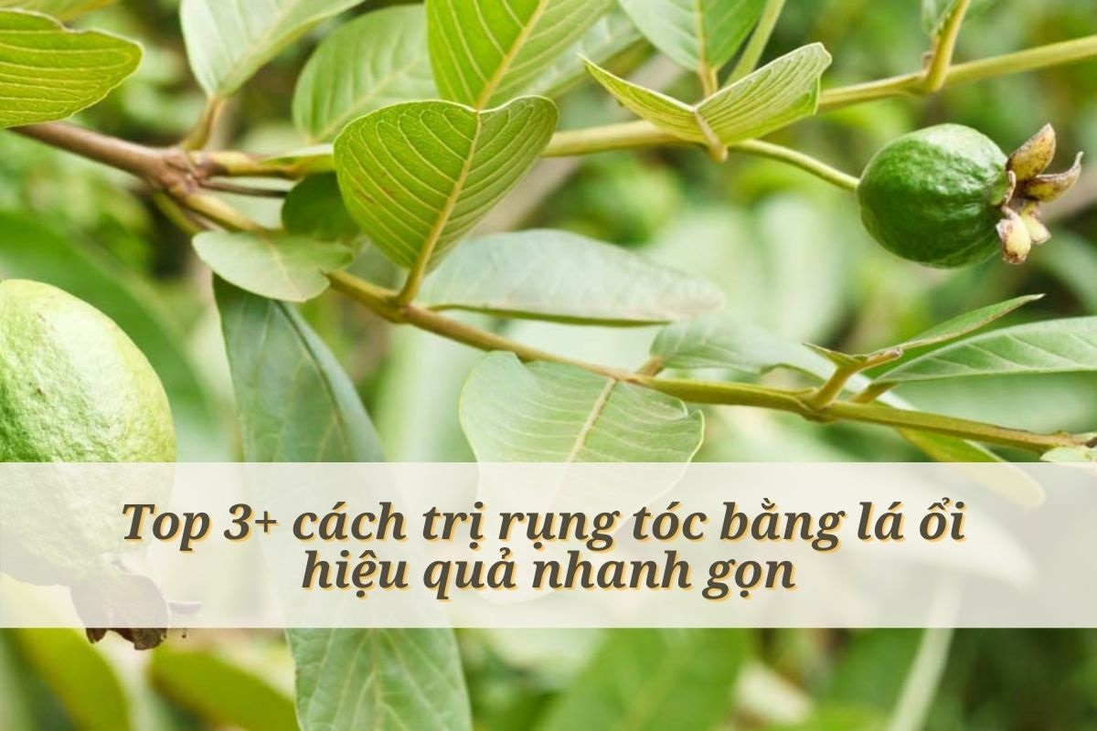 4. Kết hợp với các phương pháp chăm sóc tóc khác