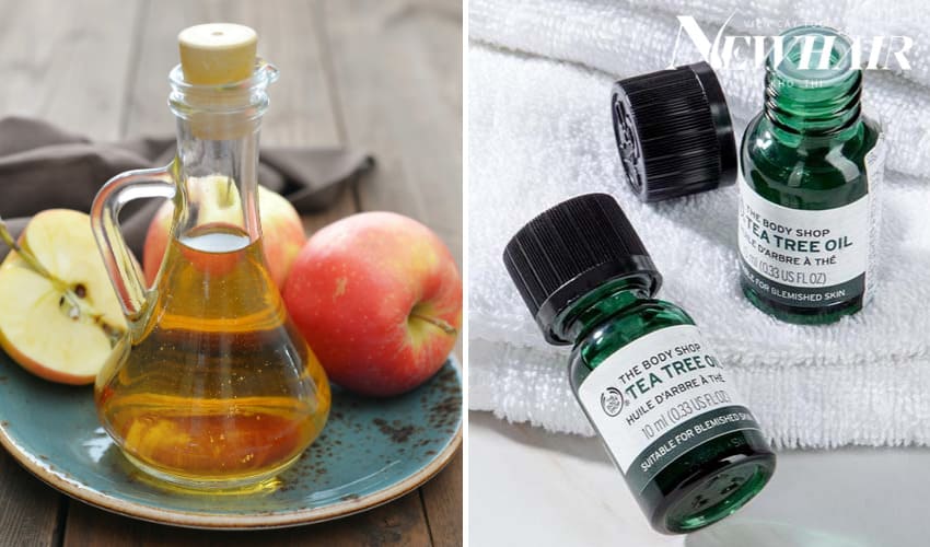 ủ tóc bằng giấm táo và tinh dầu tràm trà