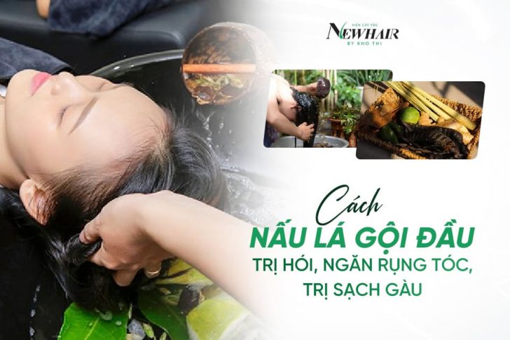 cách nấu lá gội đầu trị hói