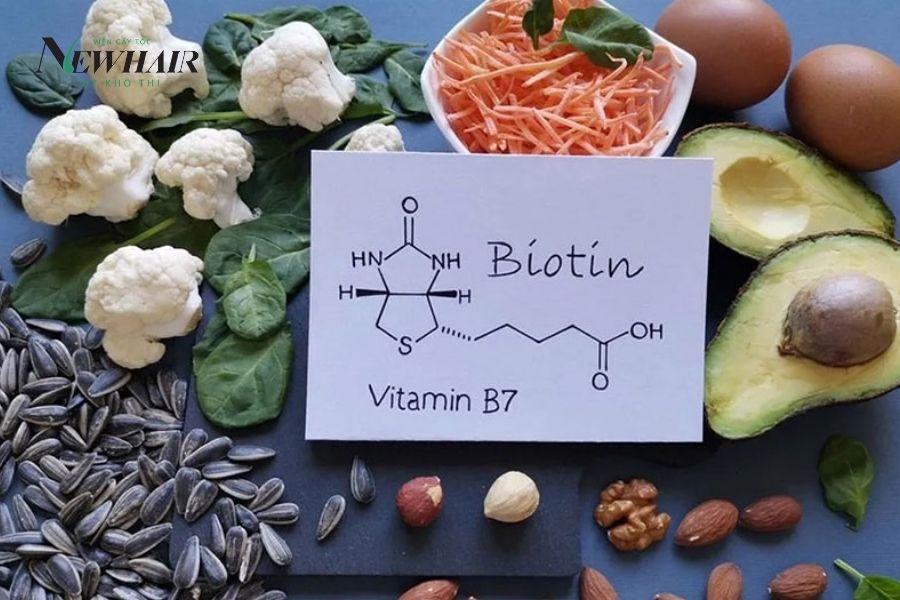 Biotin là Vitamin B mấy