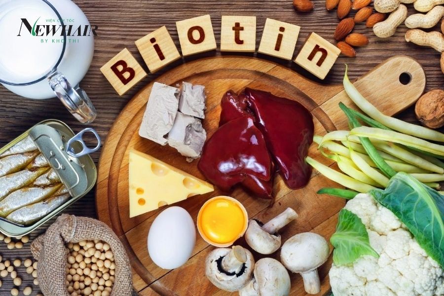 Biotin là Vitamin B mấy