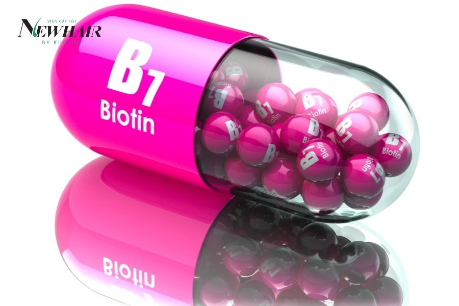 Biotin là Vitamin B mấy