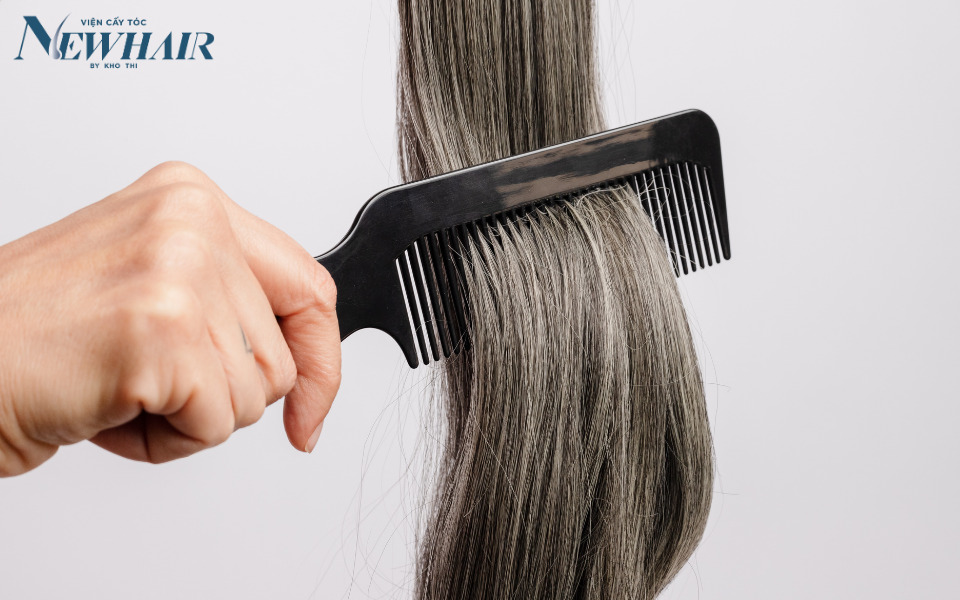 chu kỳ sinh trưởng của tóc