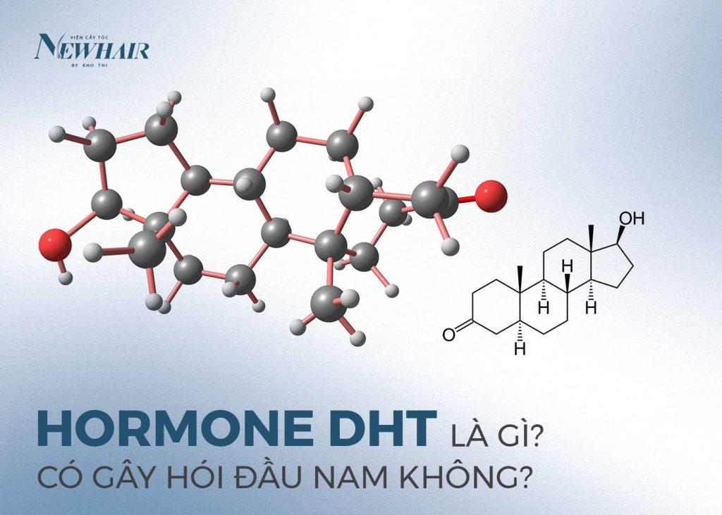 Hormone DHT Là Gì? Hormone DHT Có Gây Hói Đầu Không?