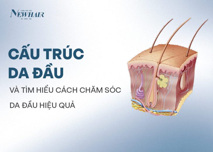 cấu trúc da đầu