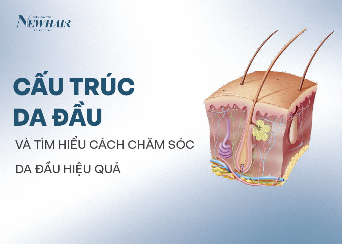 cấu trúc da đầu