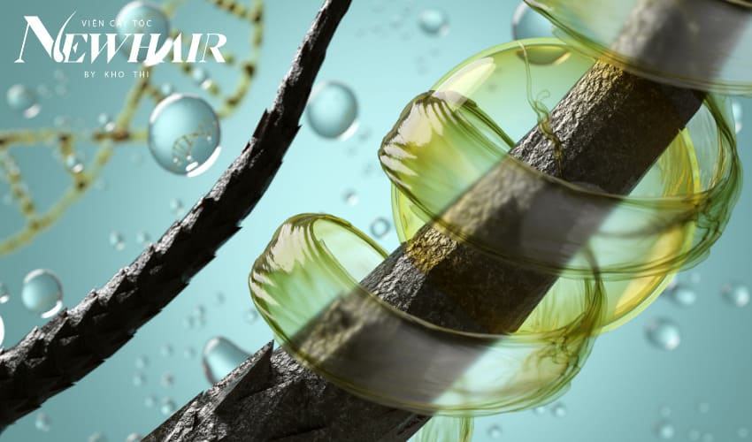 rụng tóc nên ăn gì