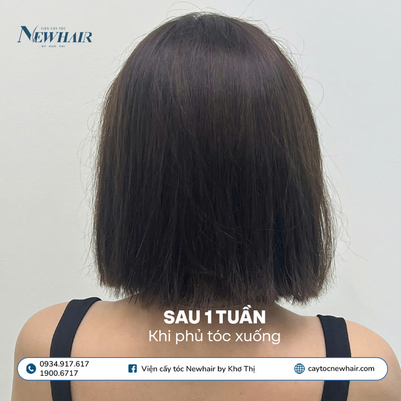 khi phủ tóc xuống cấy tóc phân tầng