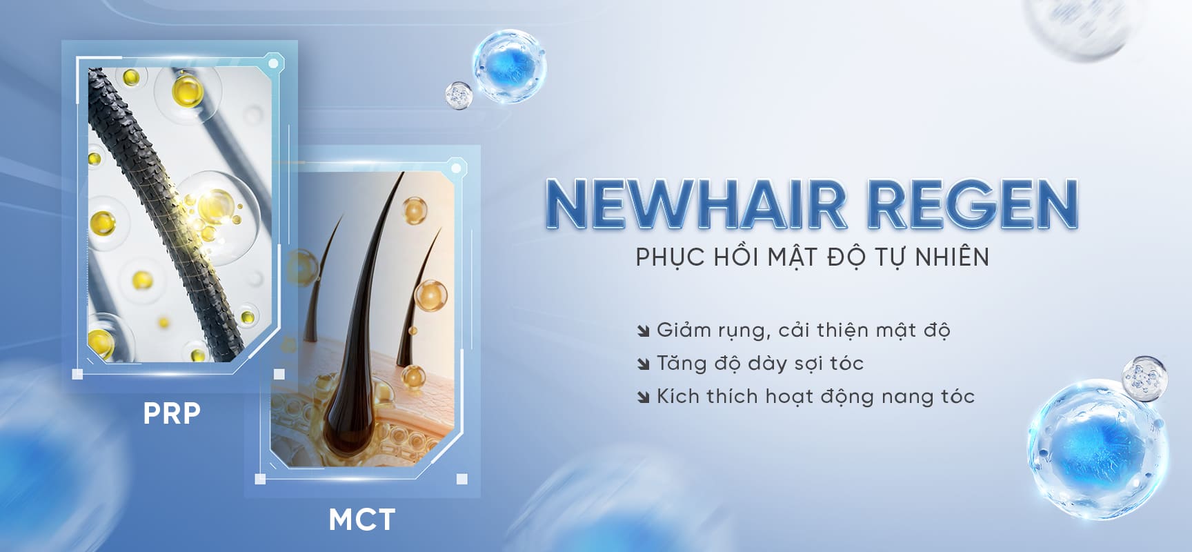 banner newhair regen